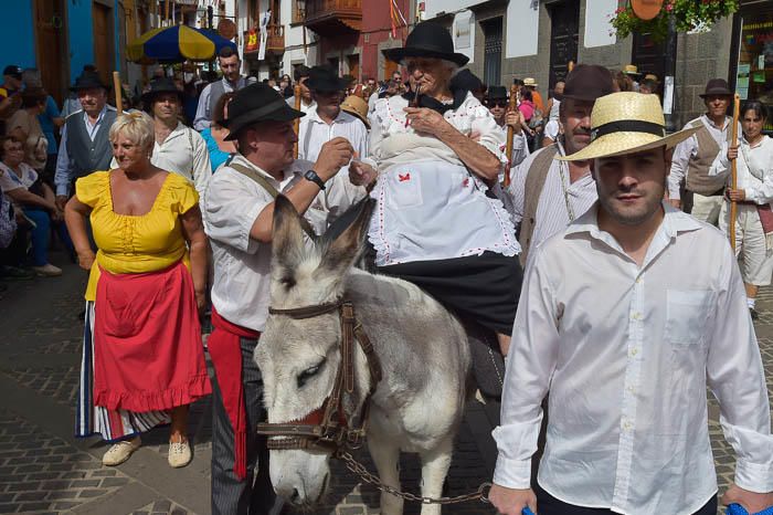 Carretas y grupos en la romería del Pino