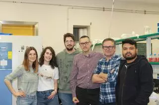 Microorganismos que salvan cosechas: así consigue la UMH de Elche que tomates y maíz resistan al cambio climático