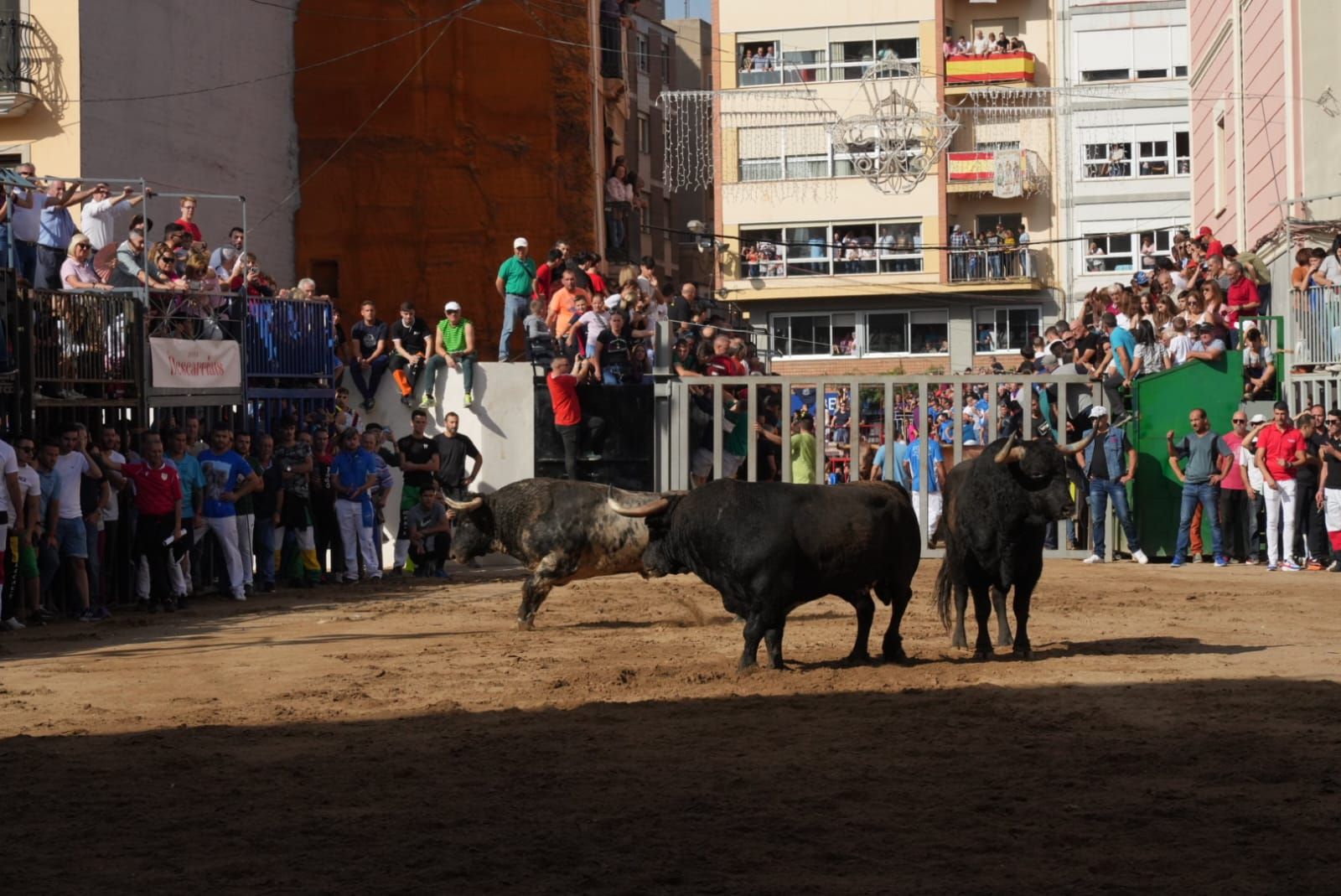 Las mejores imágenes del encierro de  Couto de Fornilhos y Santa Teresa en Onda