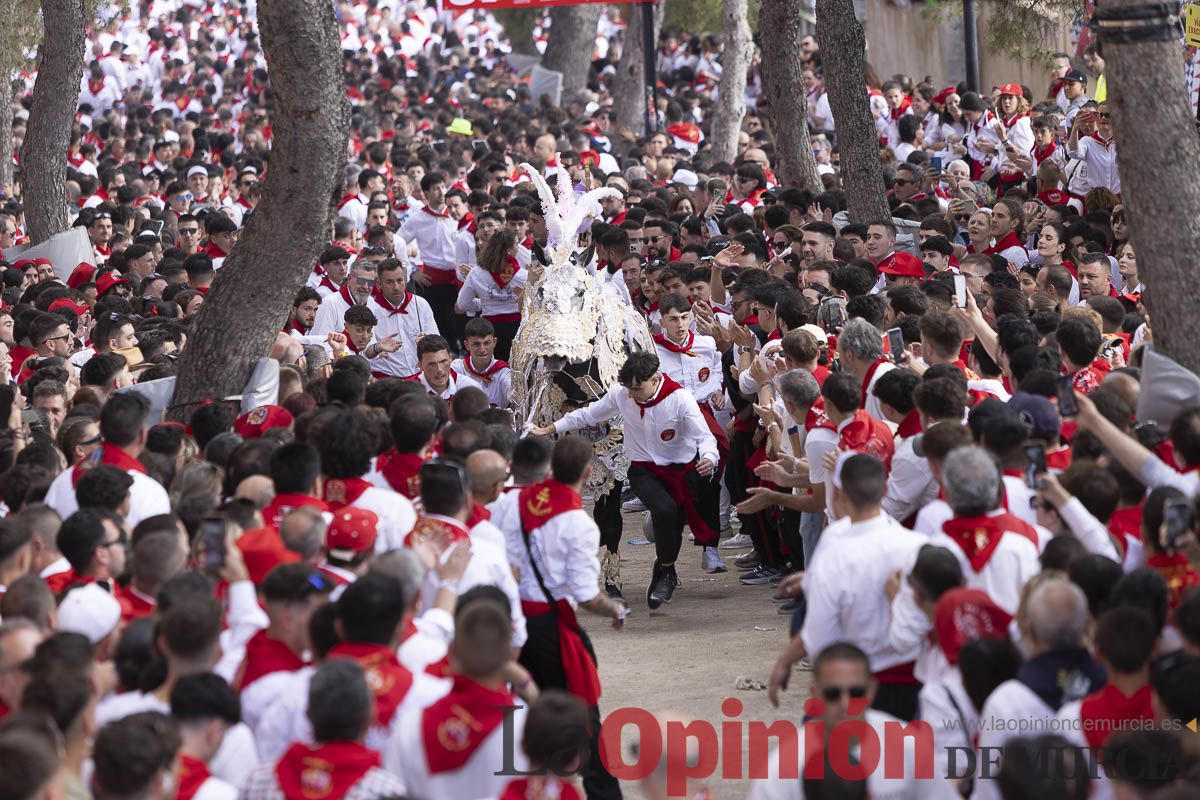 Así se ha vivido la carrera de Los Caballos del Vino en Caravaca