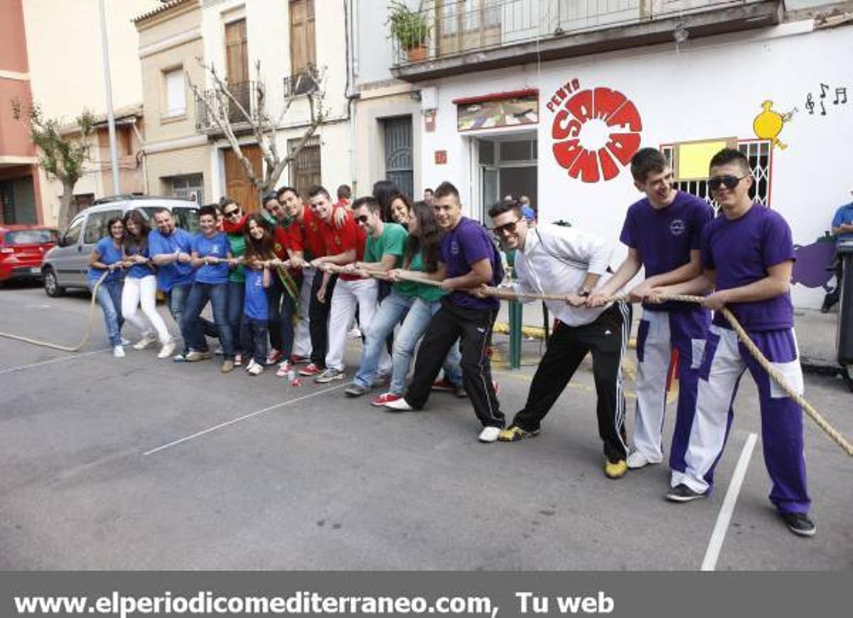 GALERÍA DE FOTOS - Fiestas de San Pascual concurso de tiro de cuerda