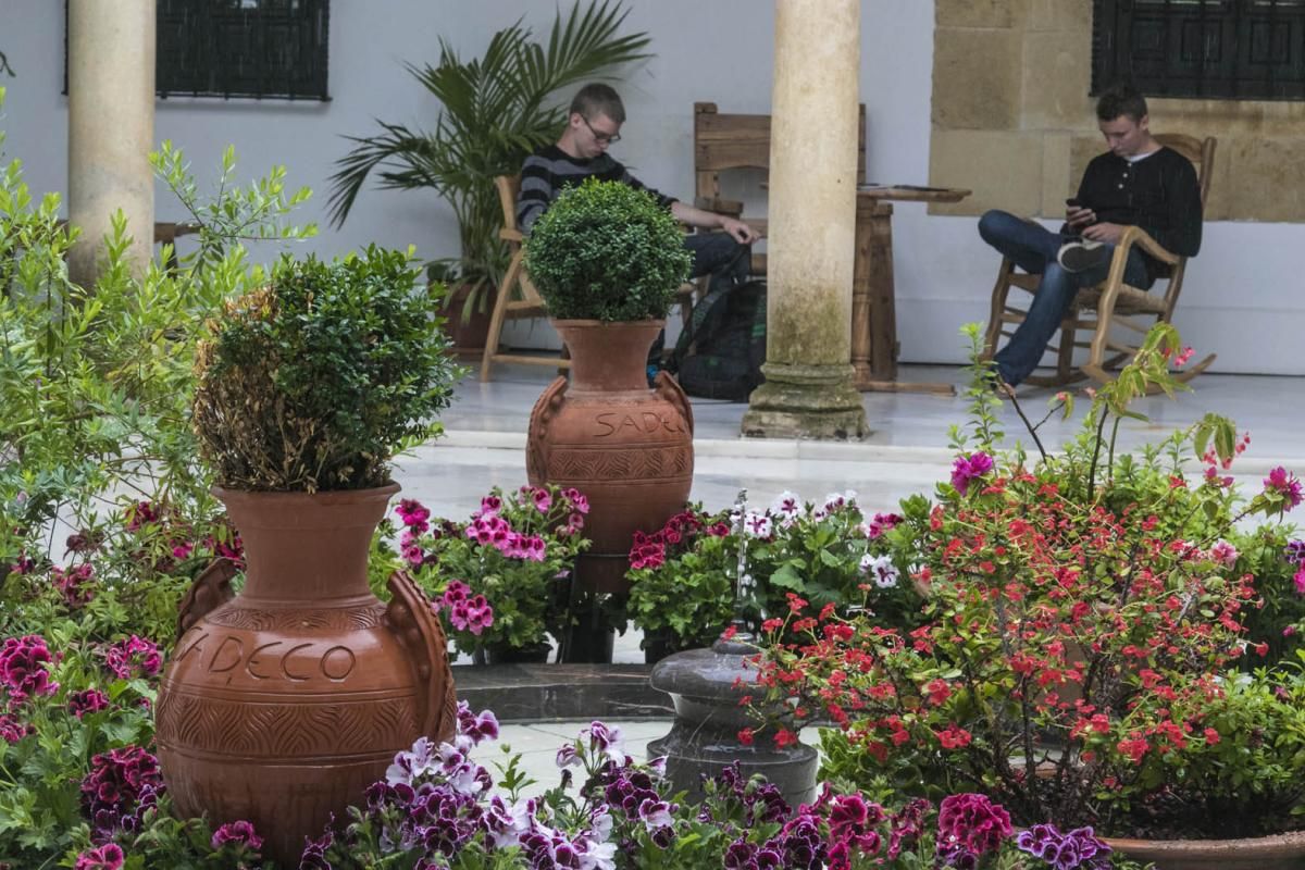 Fotogalería / Descubriendo los patios de la ruta del Realejo y San Andrés