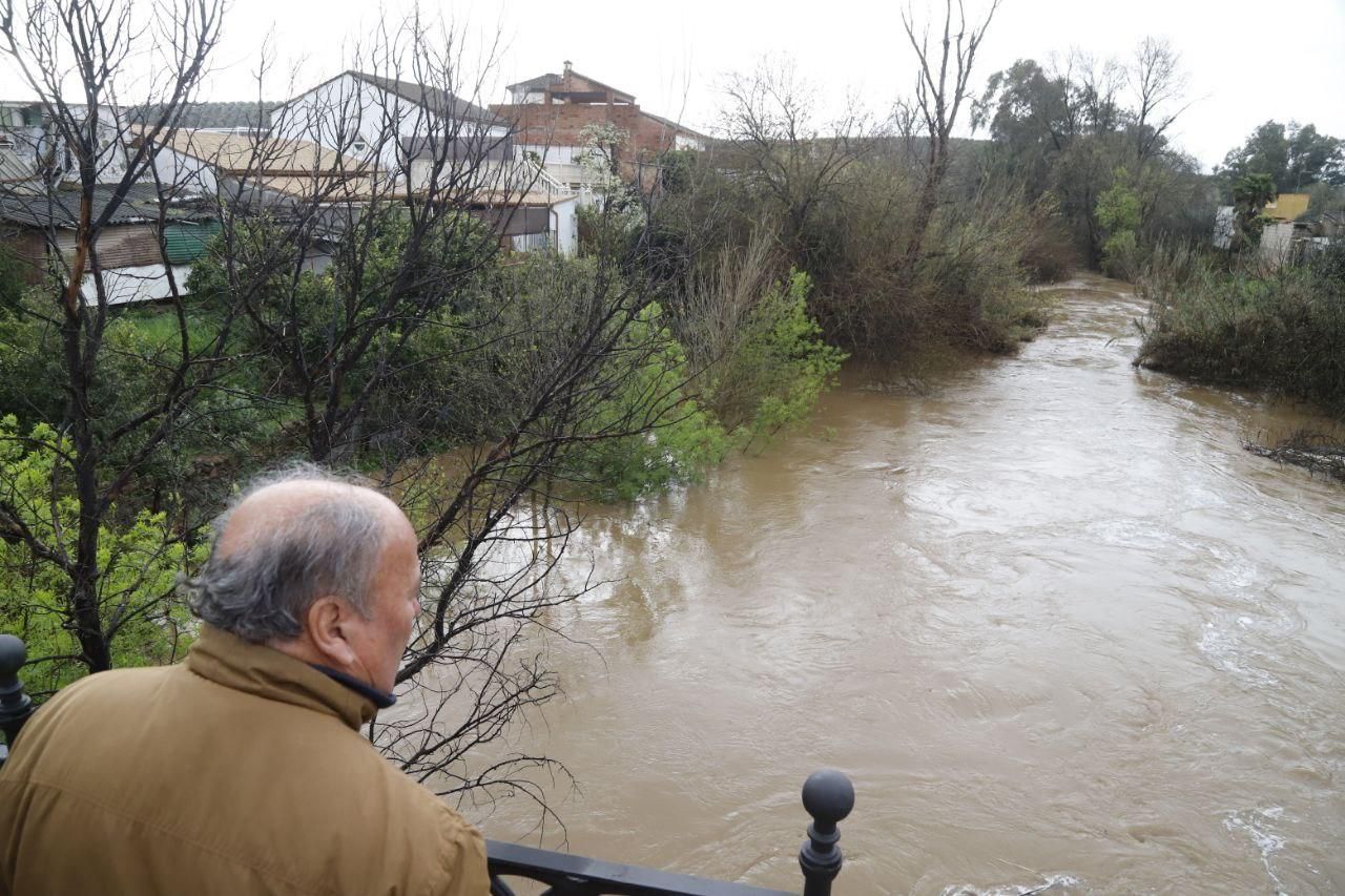 La crecida en Alcolea del Guadalquivir: en imágenes