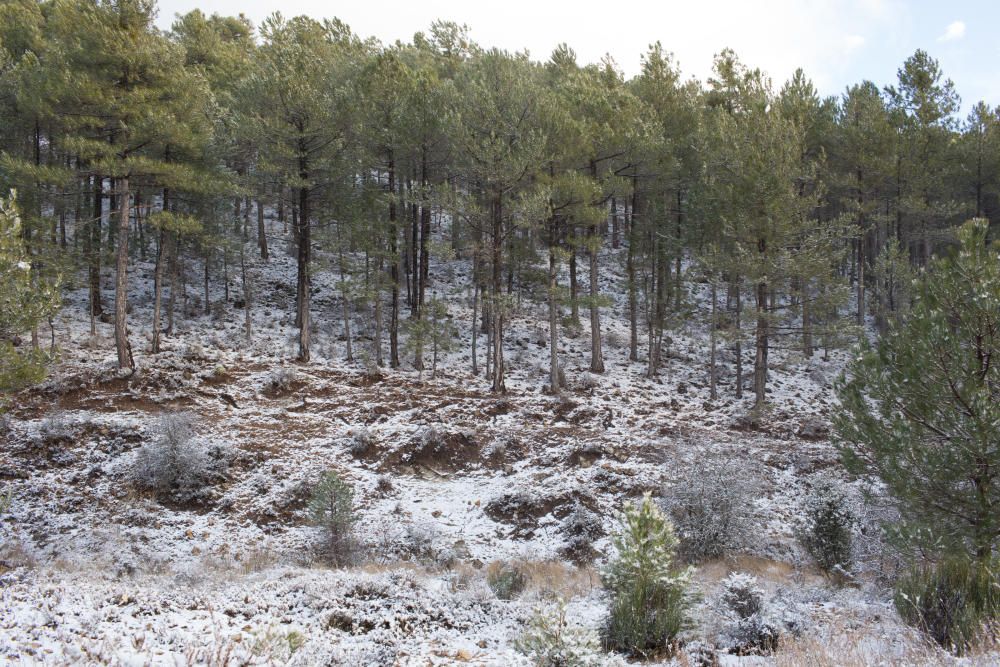 Primeras nieves en la Región