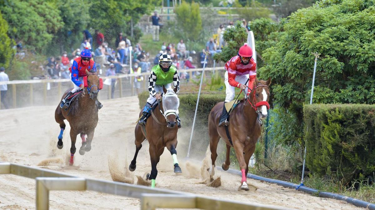 Verseadores al galope festivo