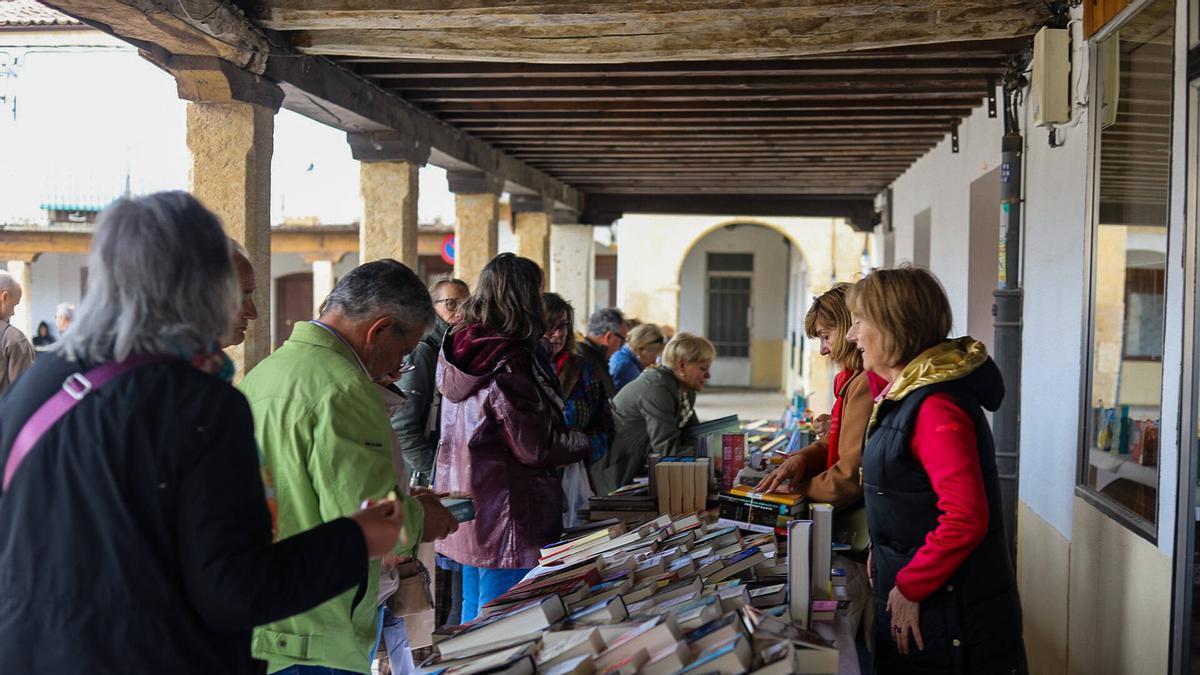 GALERÍA | Feria del Libro de Fuentesaúco