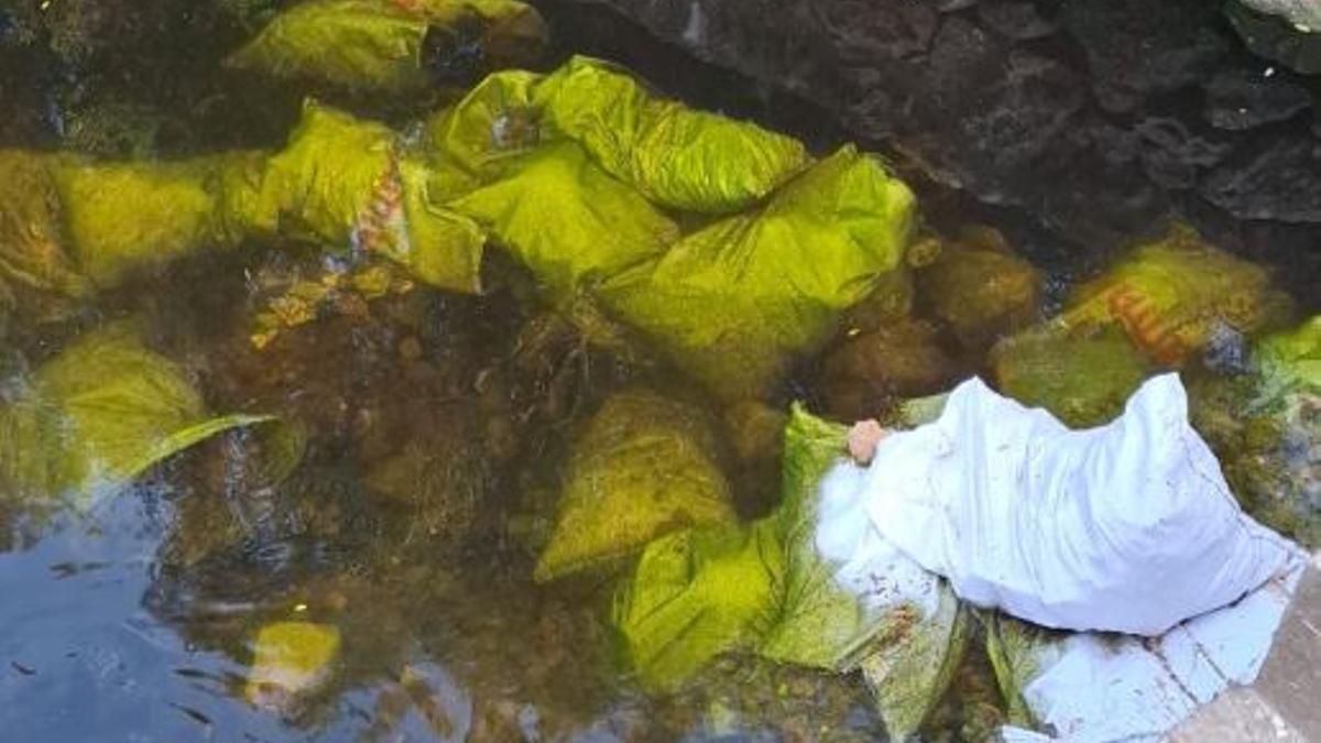 Imagen de algunos de los sacos de escombros que permanecen en el lecho del torrente de Sant Jordi.