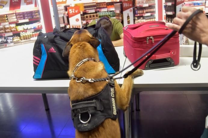 REPORTAJE UNIDAD CANINA AEROPUETO DE GRAN CANARIA