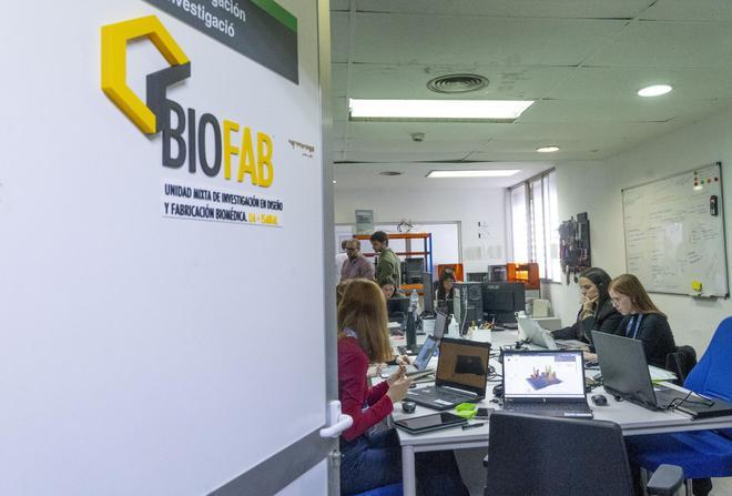 Alicante exporta a Europa prototipos en 3D del cerebro