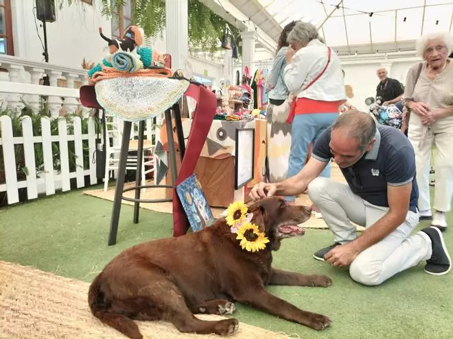 Celebración del Día del Perro en La Laguna