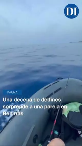 "Pensé que era mi imaginación": una decena de delfines sorprende a una pareja en Benirràs
