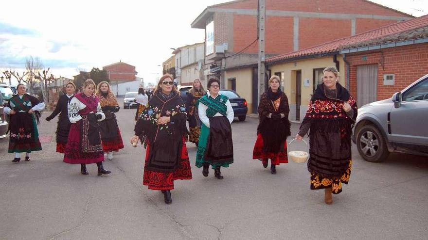 Las águedas de Coreses se disponen a correr la miaja.