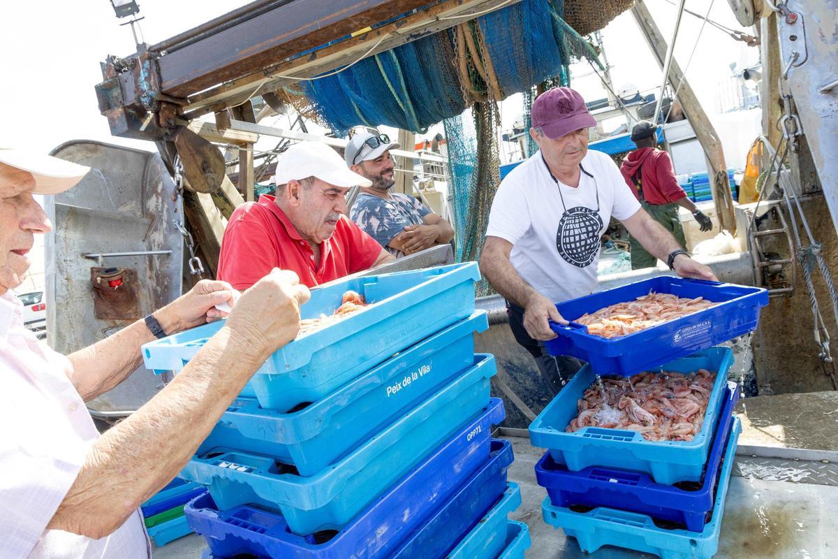 Descarga de pescado desde una embarcación del puerto de la Vila Joiosa.