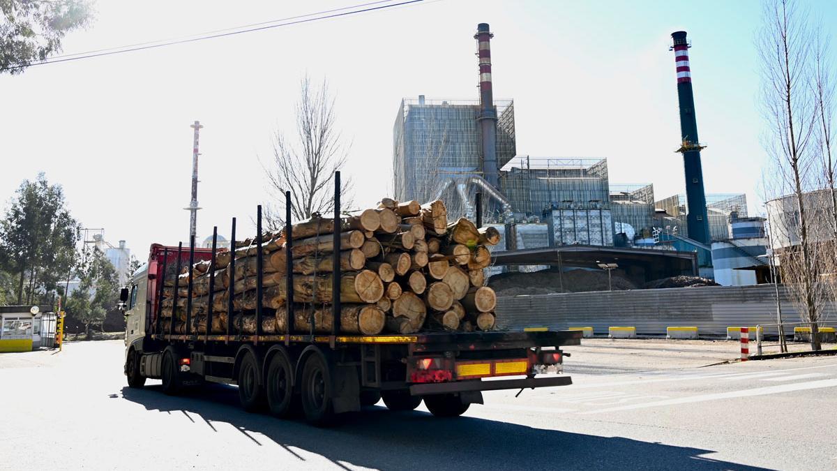 Un camión transporta troncos de eucalipto con la fábrica de Ence al fondo.