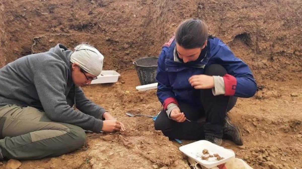 Excavaciones en fosas de Fuentes de León.