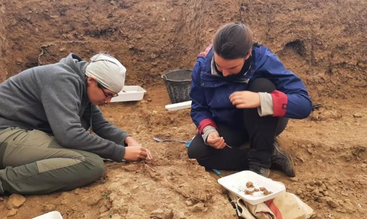 Excavaciones en fosas de Fuentes de León.