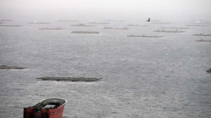 La niebla y el mal tiempo cubrían ayer las bateas de Meira y Tirán, en Moaña. // Gonzalo Núñez