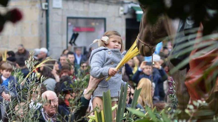 La alegría del Domingo de Ramos da paso hoy al recogimiento de los desfiles nocturnos. // Gustavo Santos