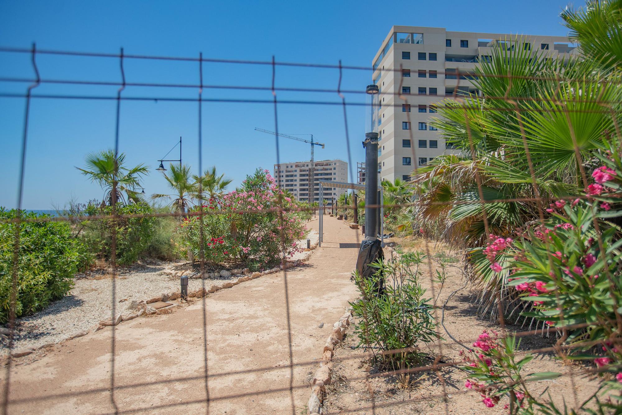 Nueve meses de espera para abrir un jardín público en Torrevieja