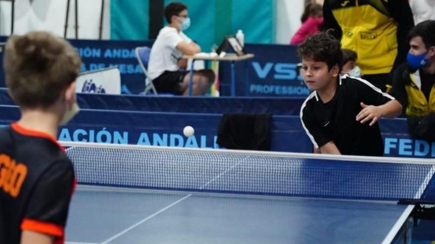 Benalmádena acogió la II concentración de la liga provincial de tenis de mesa