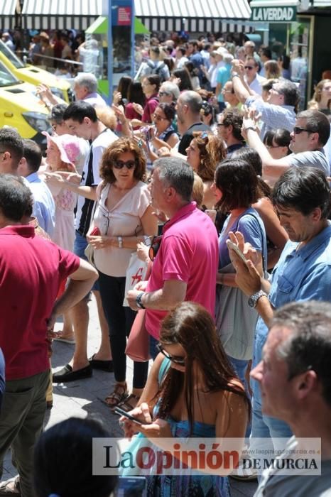 Cae parte del ficus de Santo Domingo en Murcia