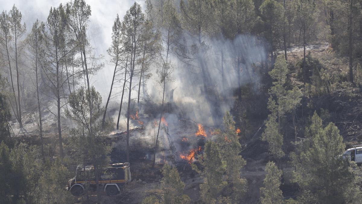 Quinientos efectivos luchan contra el primer gran incendio del año en España