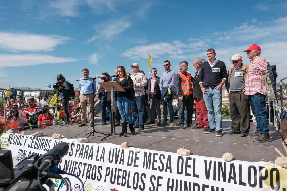 Tractorada en defensa del campo alicantino