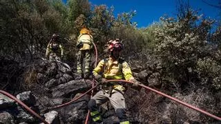 Septiembre no rebaja el riesgo de incendios en Extremadura: 15 fuegos en una semana