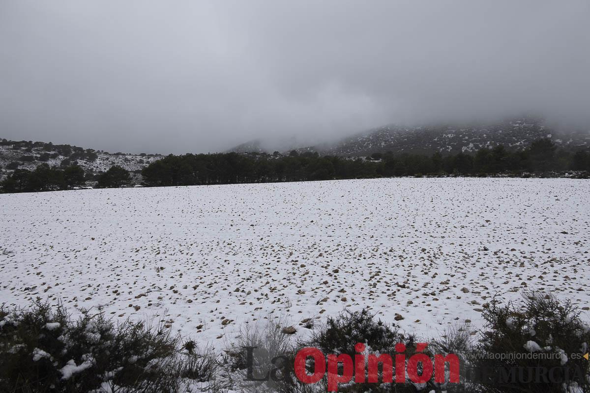 Así se está viviendo la última nevada en las proximidades de Revolcadores en Moratalla Así se está viviendo la última nevada en las proximidades de Revolcadores en Moratalla