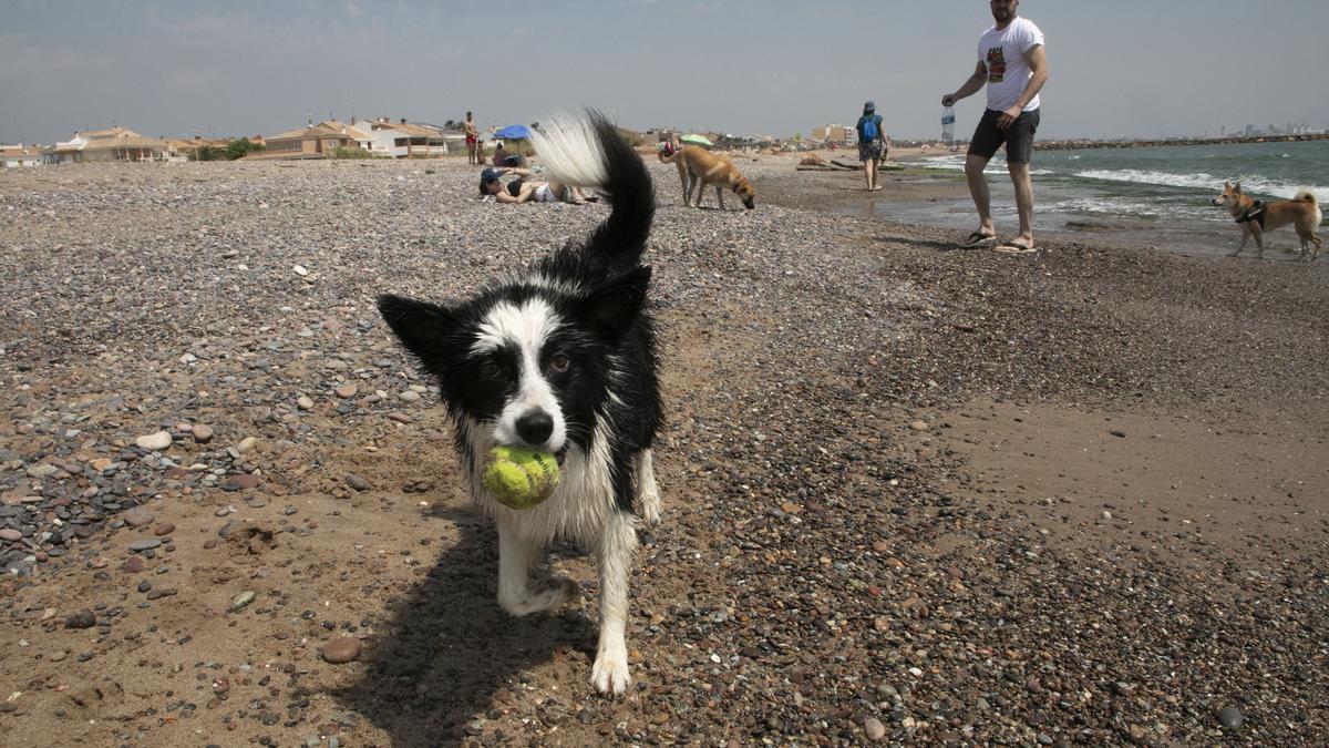 Playa Canina de El Puig