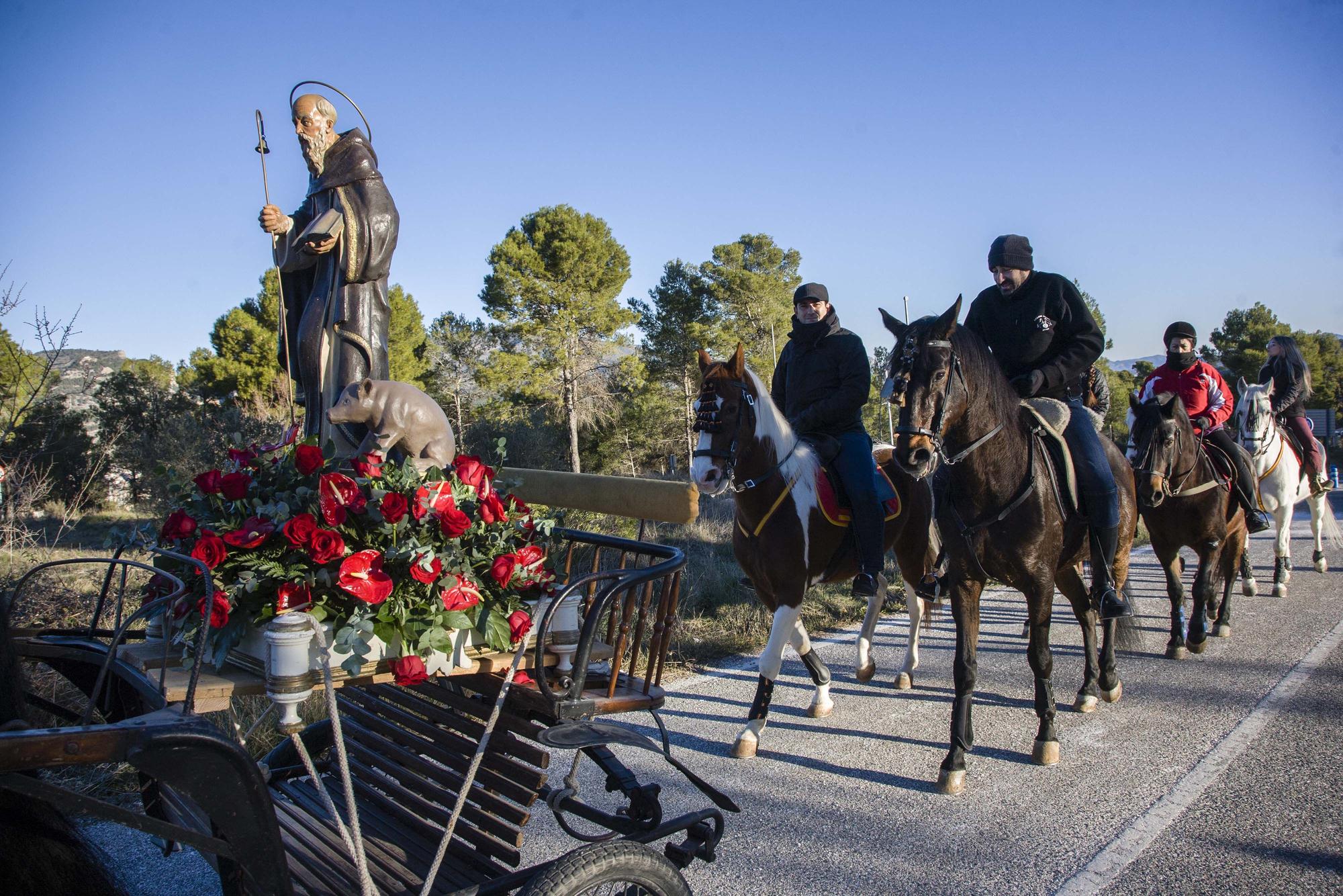 Alcoy vuelve a celebrar la Romería de Sant Antoni