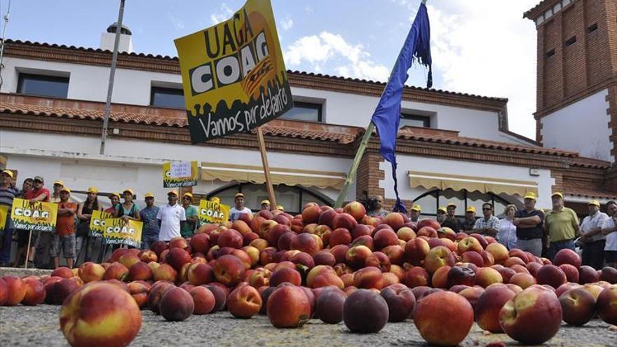 Aragón solicita al Gobierno que renueve los cupos de retirada de fruta de hueso