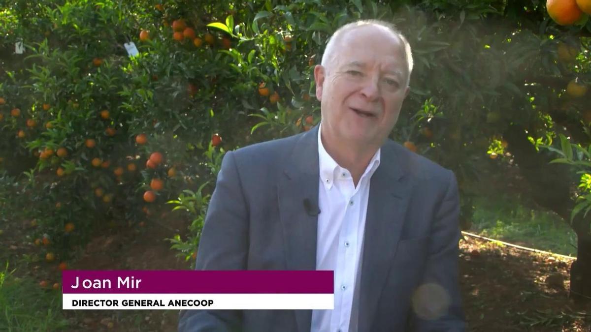 Premios Levante-EMV 2023 - Premio Asociacionismo a Anecoop