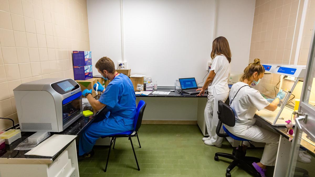 Sanitarios del laboratorio del Marina Baixa aprenden a usar los nuevos aparatos para analizar PCR.