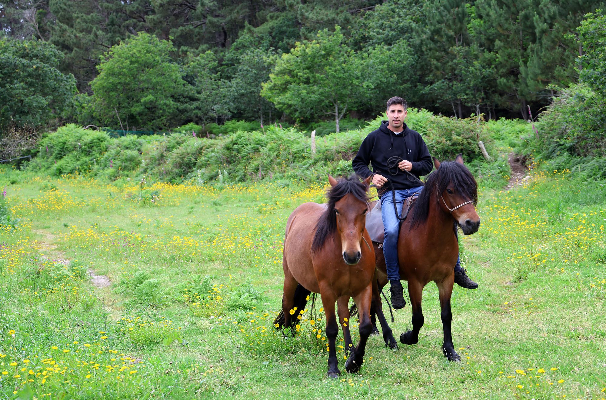 La aventura de Galo, Grelo y el “cowboy” de Baiona