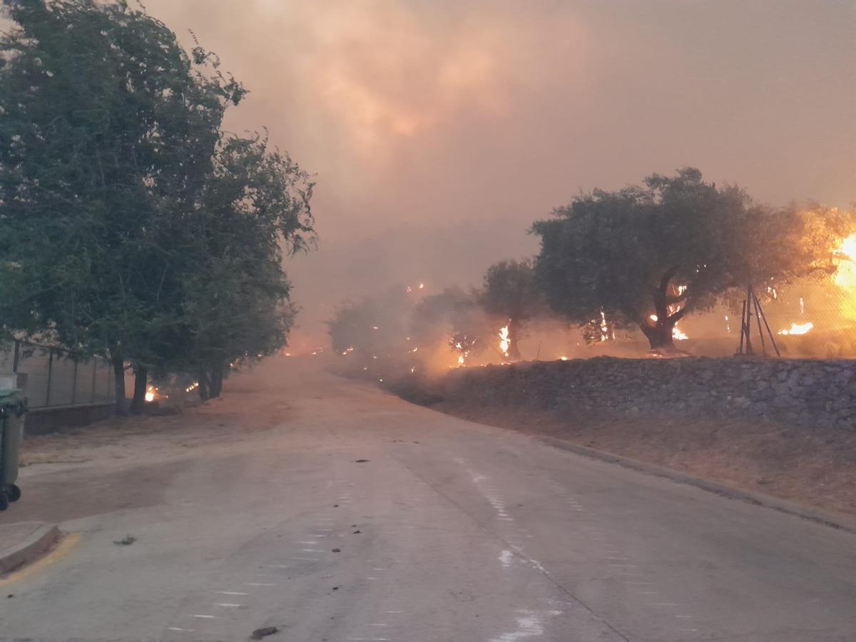 Fotogalería | Los bomberos de Cáceres, en labores de extinción del incendio de Ávila