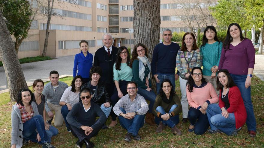 Equipo de investigadores que ha participado en el proyecto