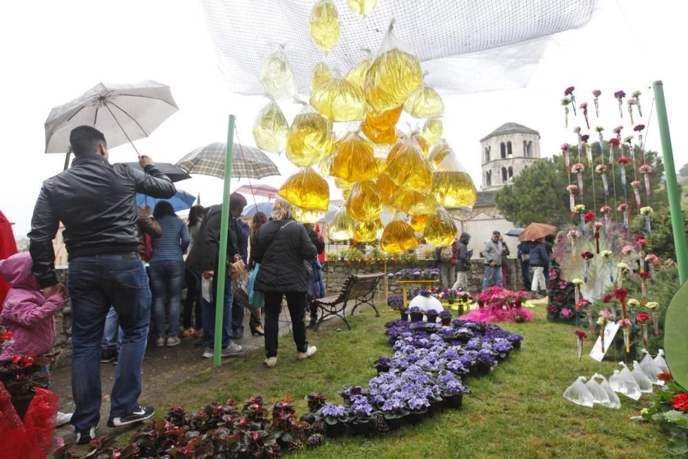 La pluja no desanima l'afluència de públic a «Temps de Flors»