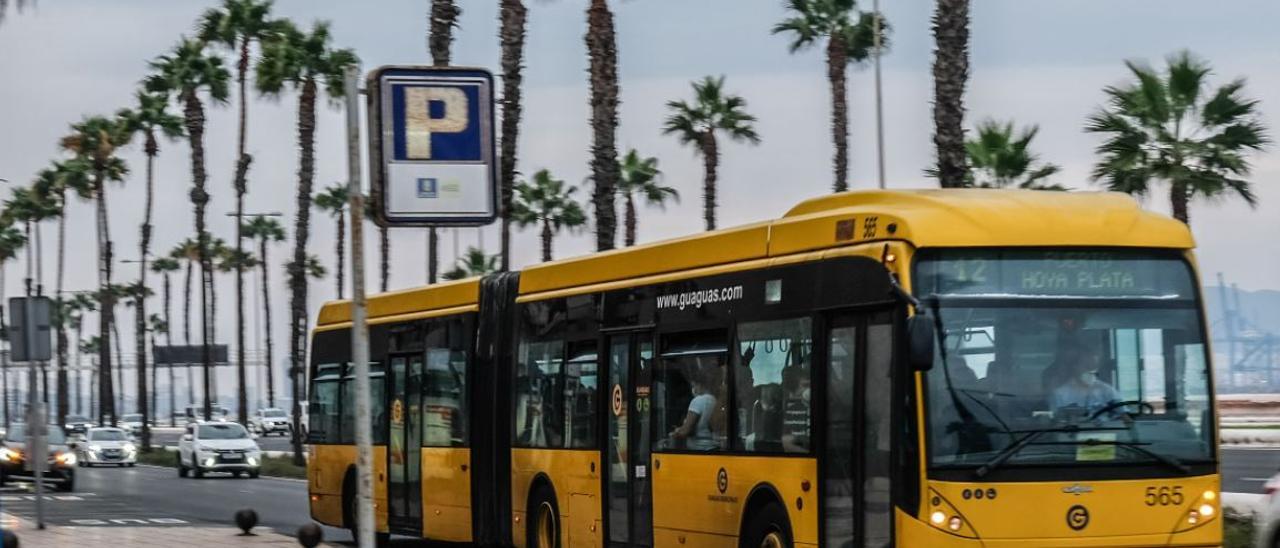 Guagua de la Línea 12 del servicio municipal de Las Palmas de Gran Canaria.