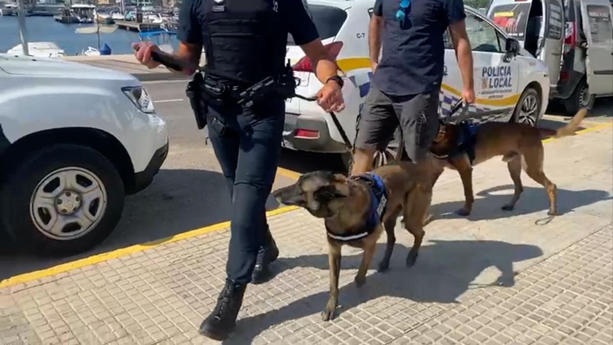 Presentación de la unidad canina en Sant Antoni