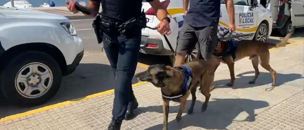 Presentación de la unidad canina en Sant Antoni