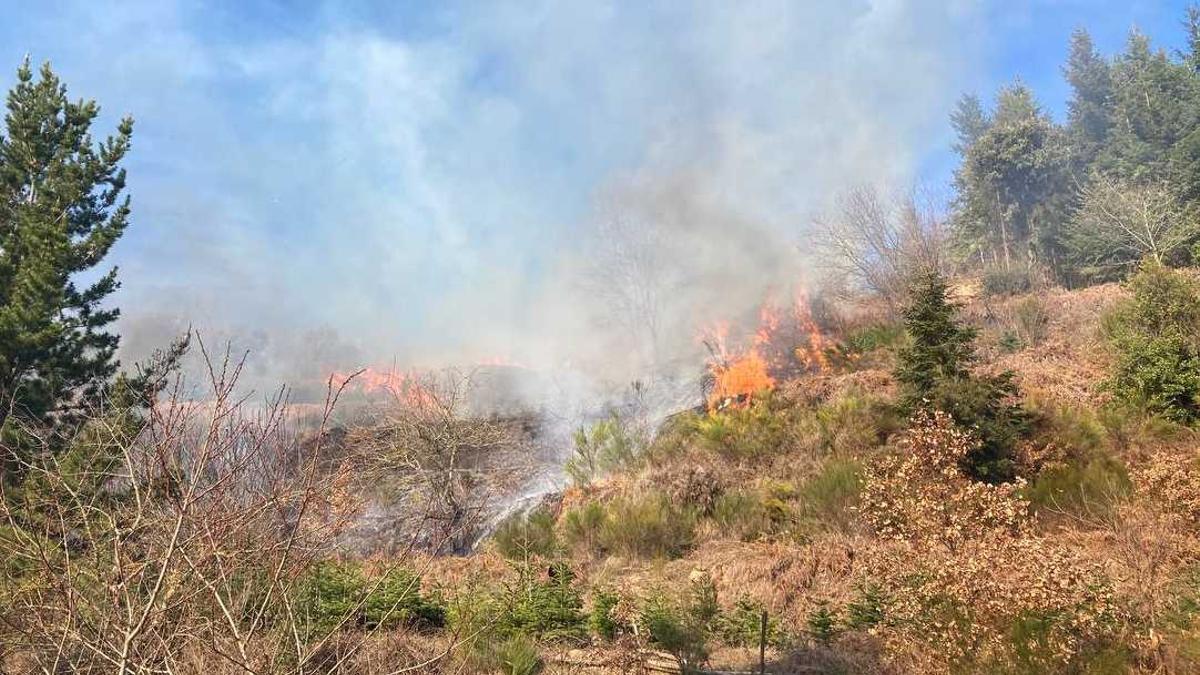 Incendi de vegetació que s'ha declarat aquest dissabte a Sant Hilari Sacalm.