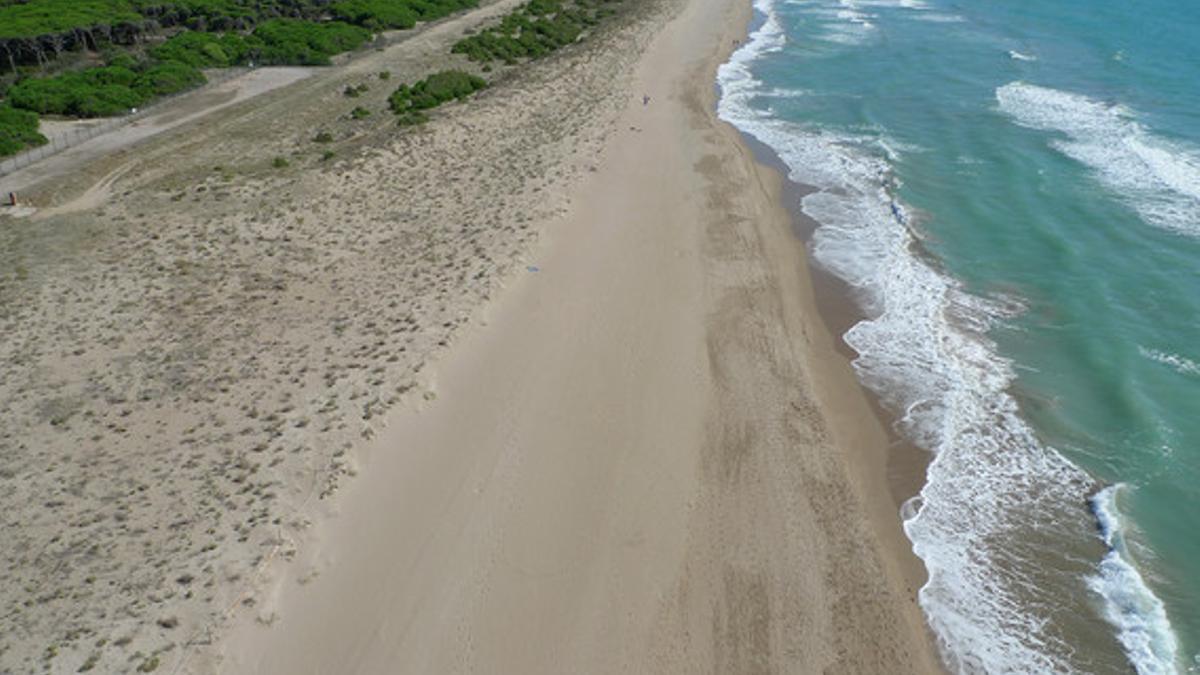 Las playas de la Pineda de Cal Francès y del Remolar en Viladecans reciben por tercera vez la distinción como 'playas vírgenes'