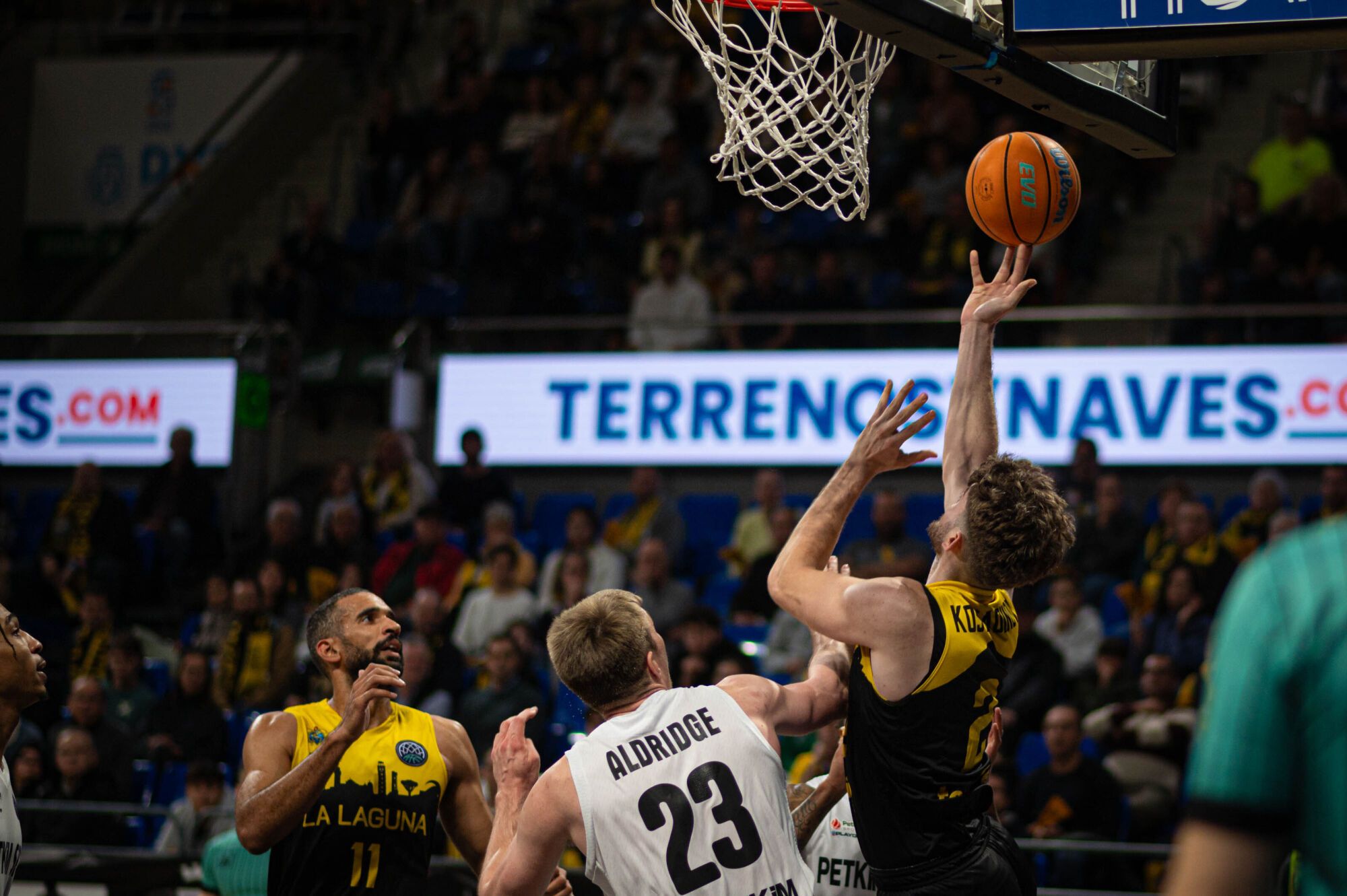 Basketball Champions League: La Laguna Tenerife - Aliaga Petkim Sport 