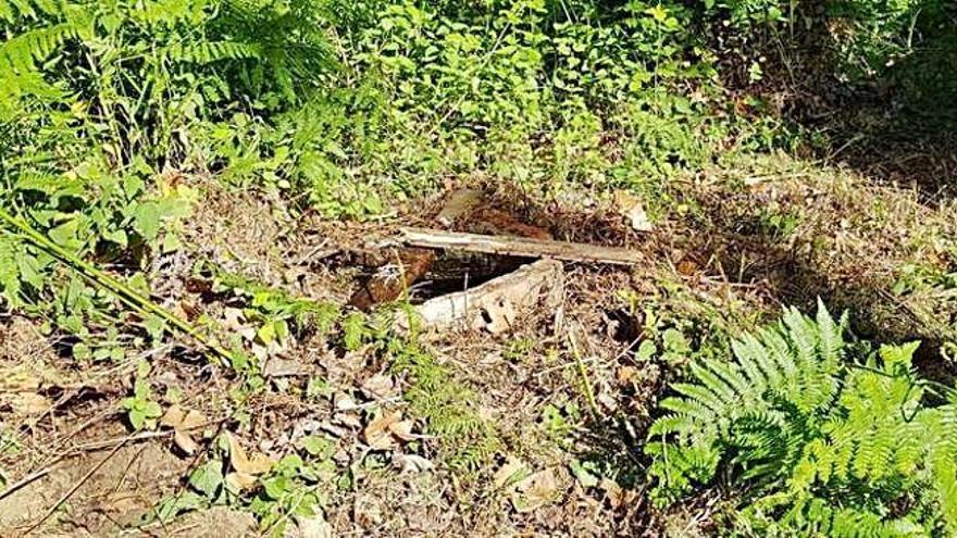 El pou, situat en una zona rural, no tenia cap protecció.