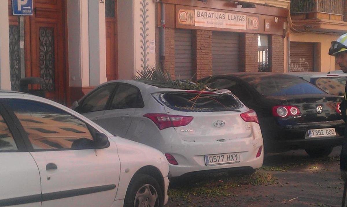 La palmera ha caído sobre un coche en el Cabanyal