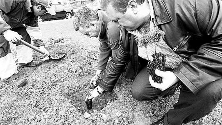 Joaquín Arce, a la izquierda, y Ramón Argüelles, ayer, plantando los árboles.