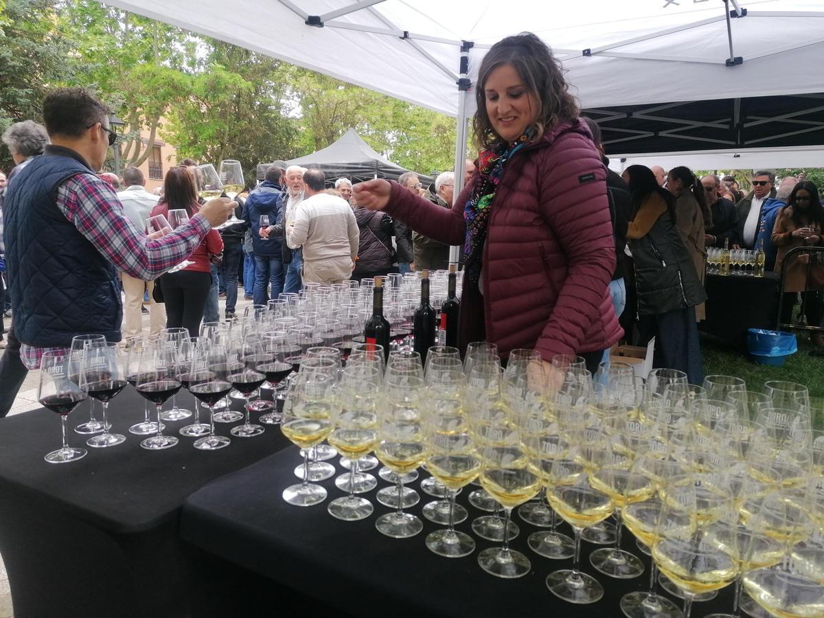 GALERÍA | Toro brinda por los vinos de la DO y el enoturismo