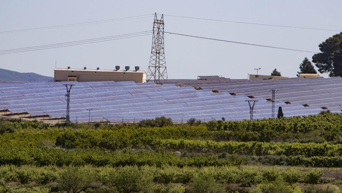 Planta fotovoltaica en Bèlgida.