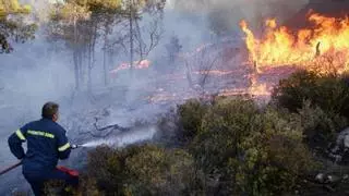Aumentan los riegos de incendio forestal en la Región este domingo
